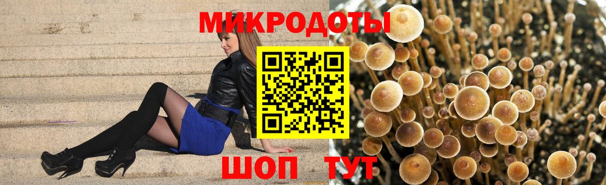 Камышин  Галлюциногенные грибы ЛСД  Галлюциногенные грибы Cubensis  Вход с VPN 