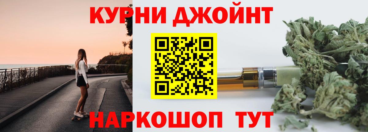 МАРИХУАНА сатива Камышин